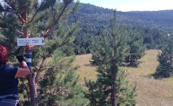 Alan - Saborsko 748.2 mnv