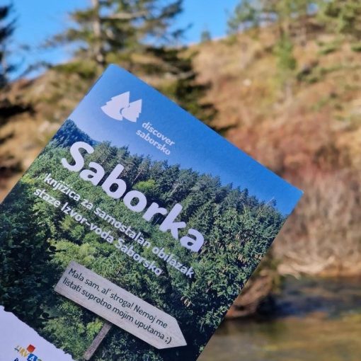 Recider Trip - Saborka