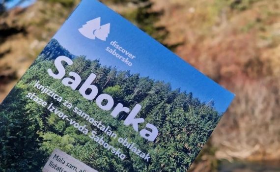 Recider Trip - Saborka